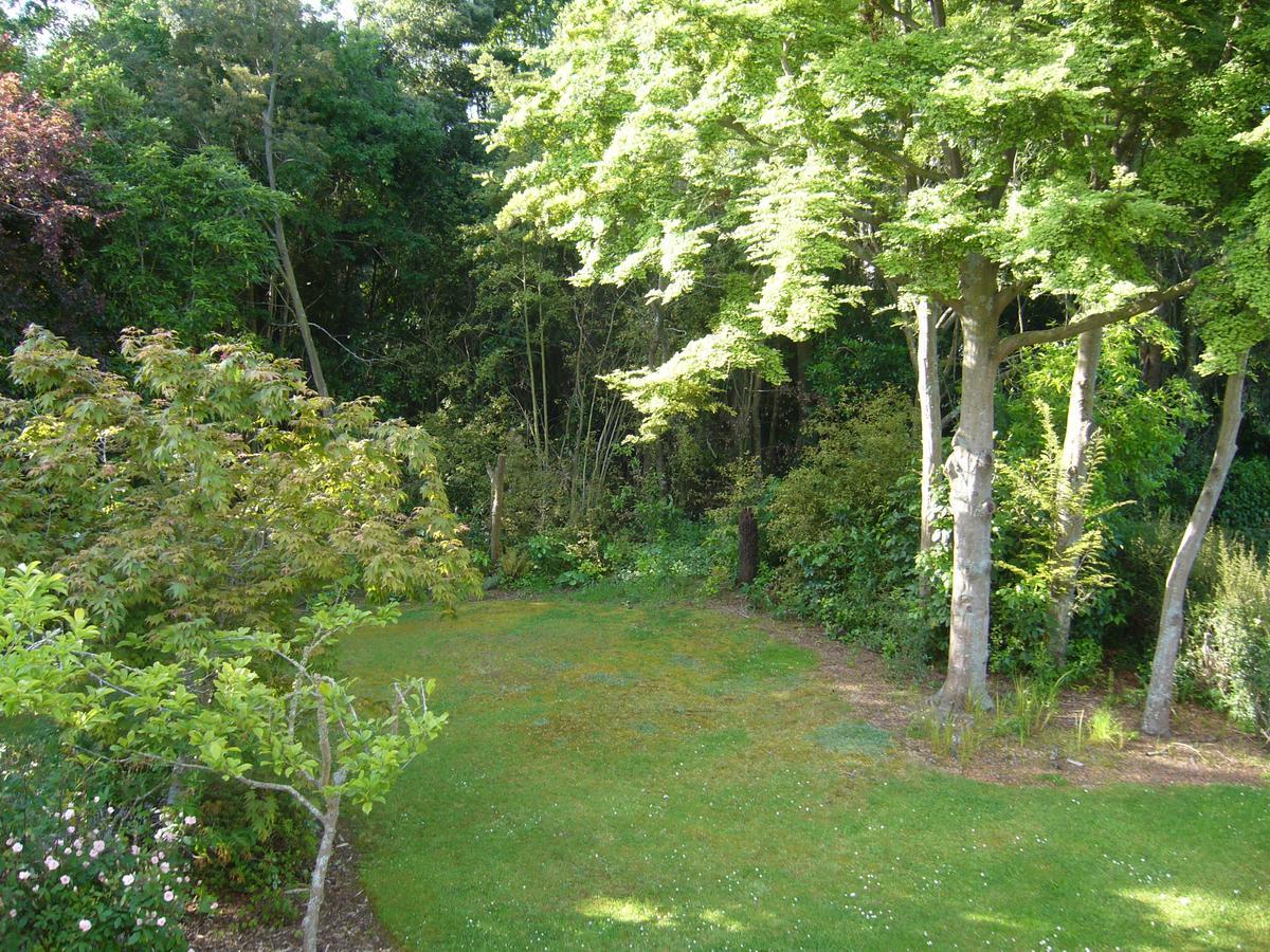 Forest Manor Geraldine Eksteriør bilde